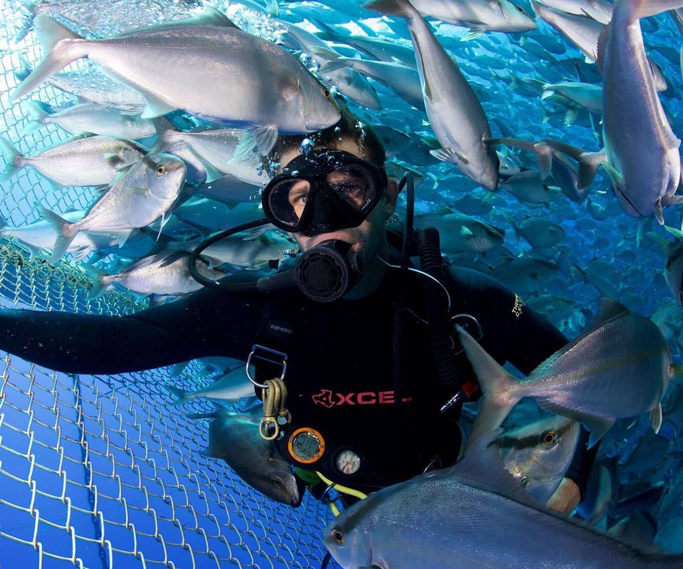 Hawaiian Kanpachi Sashimi Cut 1 lb - Honolulu Fish