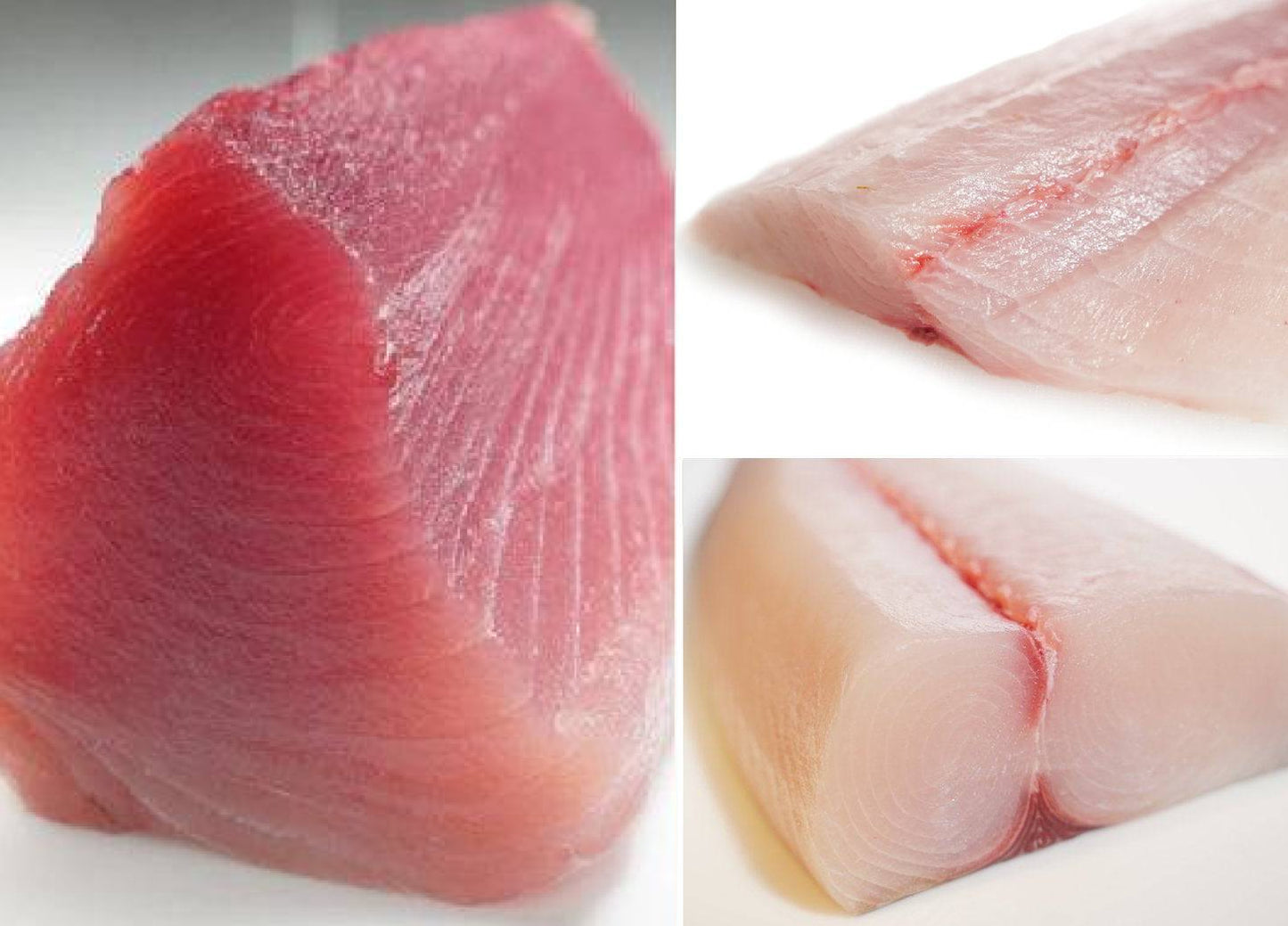 Eat Seafood 2x Week For Family Pak