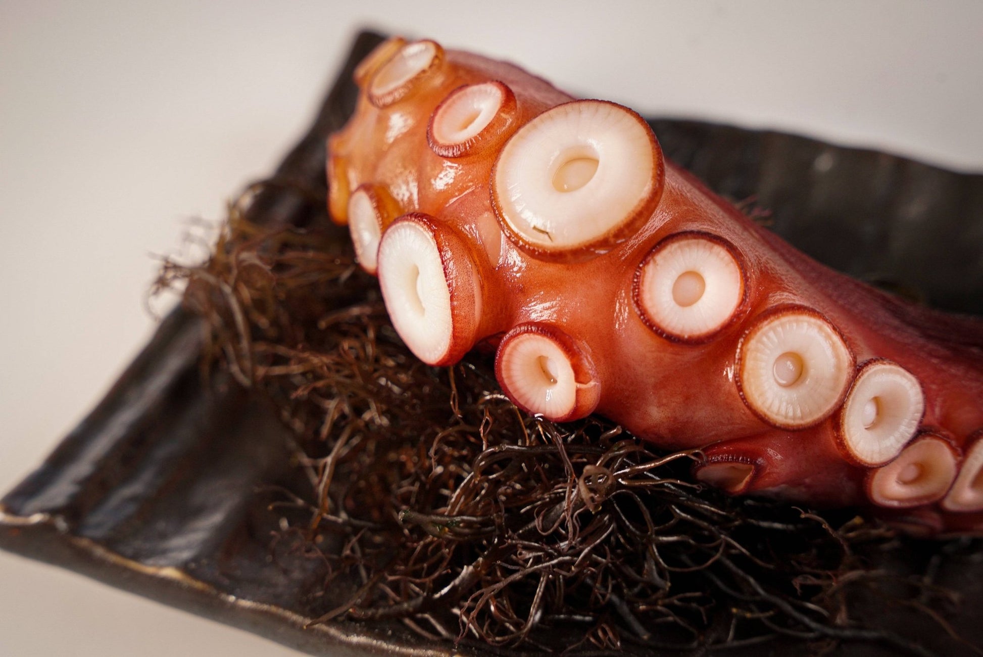 Whole Steamed Madako Tako - 1 lb - Honolulu Fish