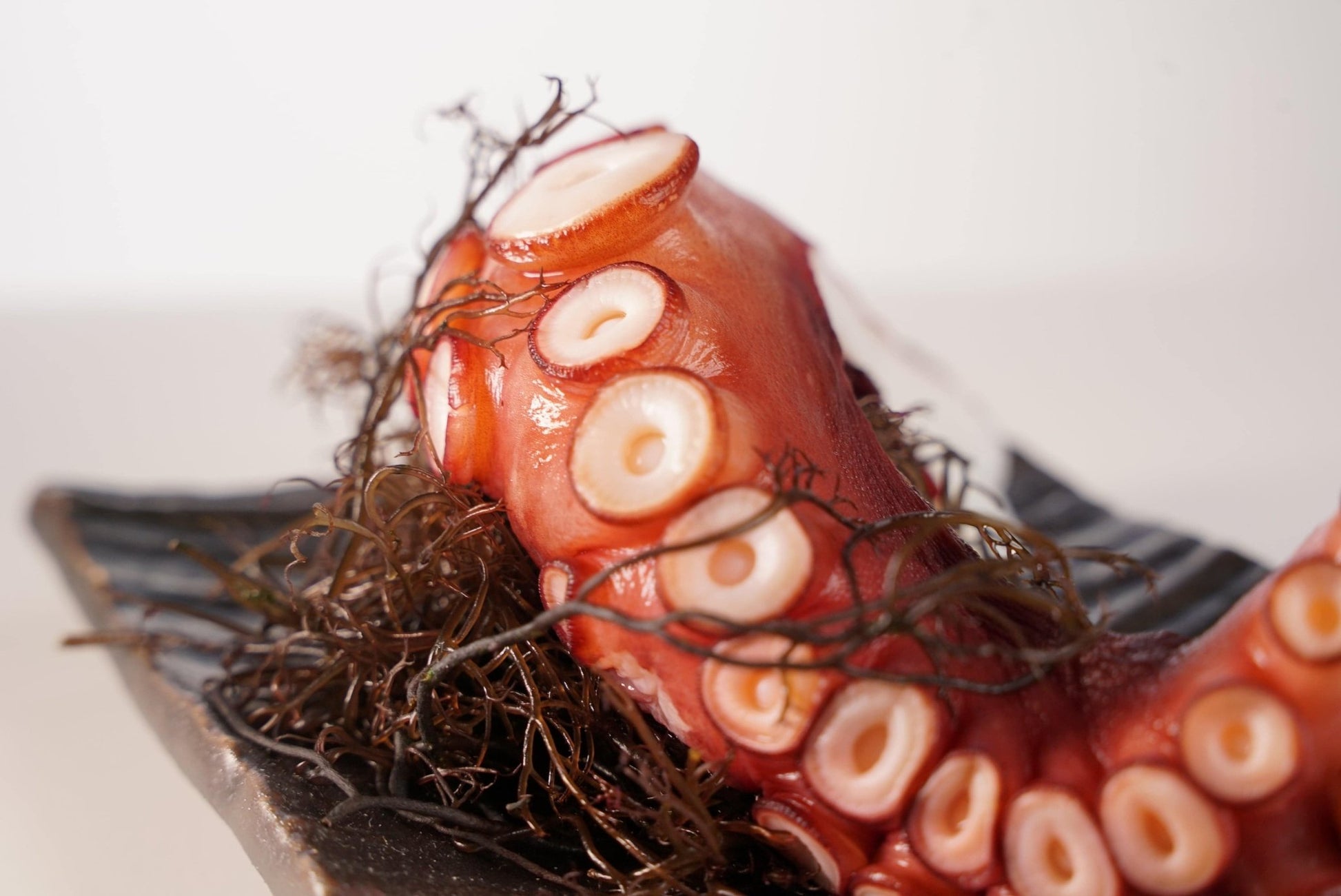 Whole Steamed Madako Tako - 1 lb - Honolulu Fish