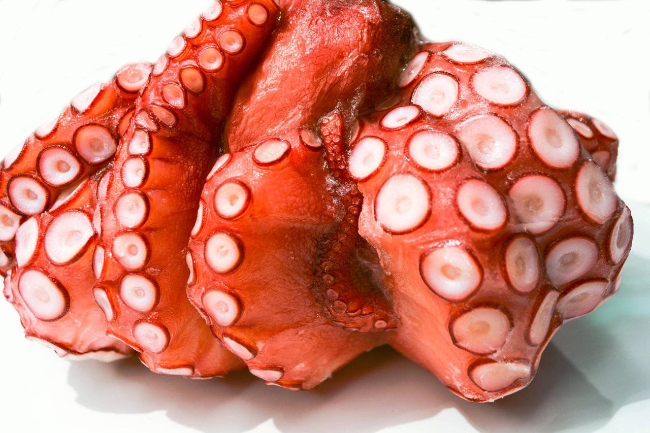 Whole Steamed Madako Tako - 1 lb - Honolulu Fish