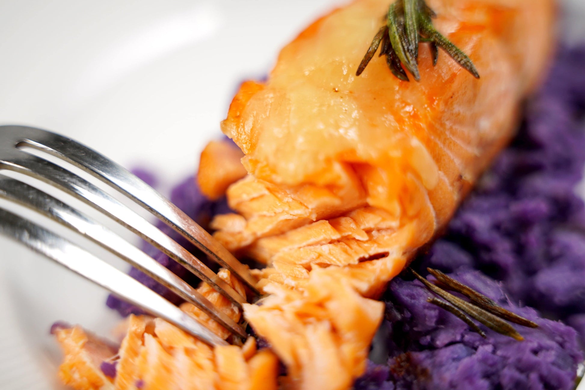 4 Lb Sashimi Ultra Steelhead Salmon - Honolulu Fish