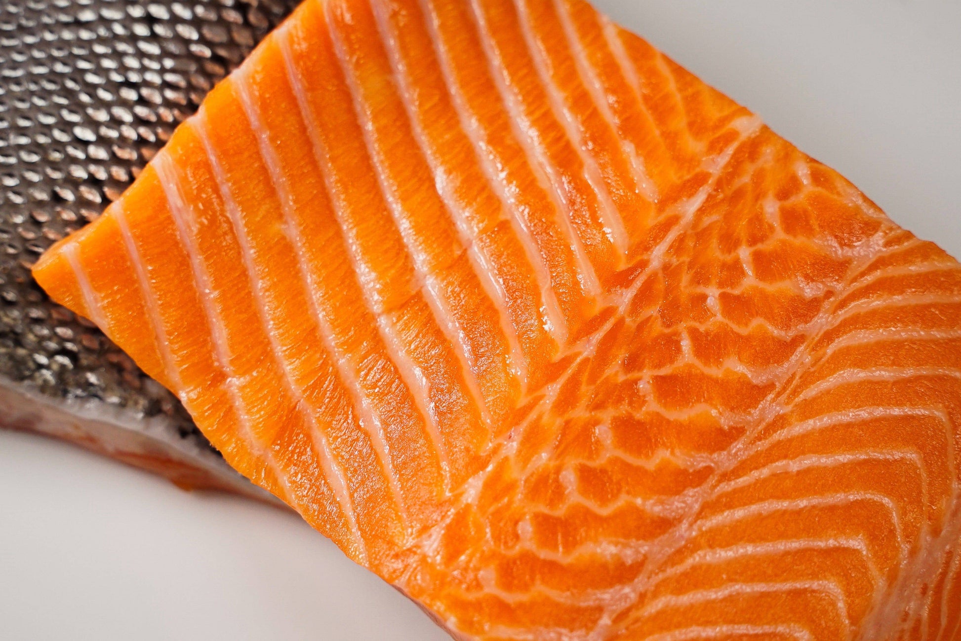 4 Lb Sashimi Ultra Steelhead Salmon - Honolulu Fish