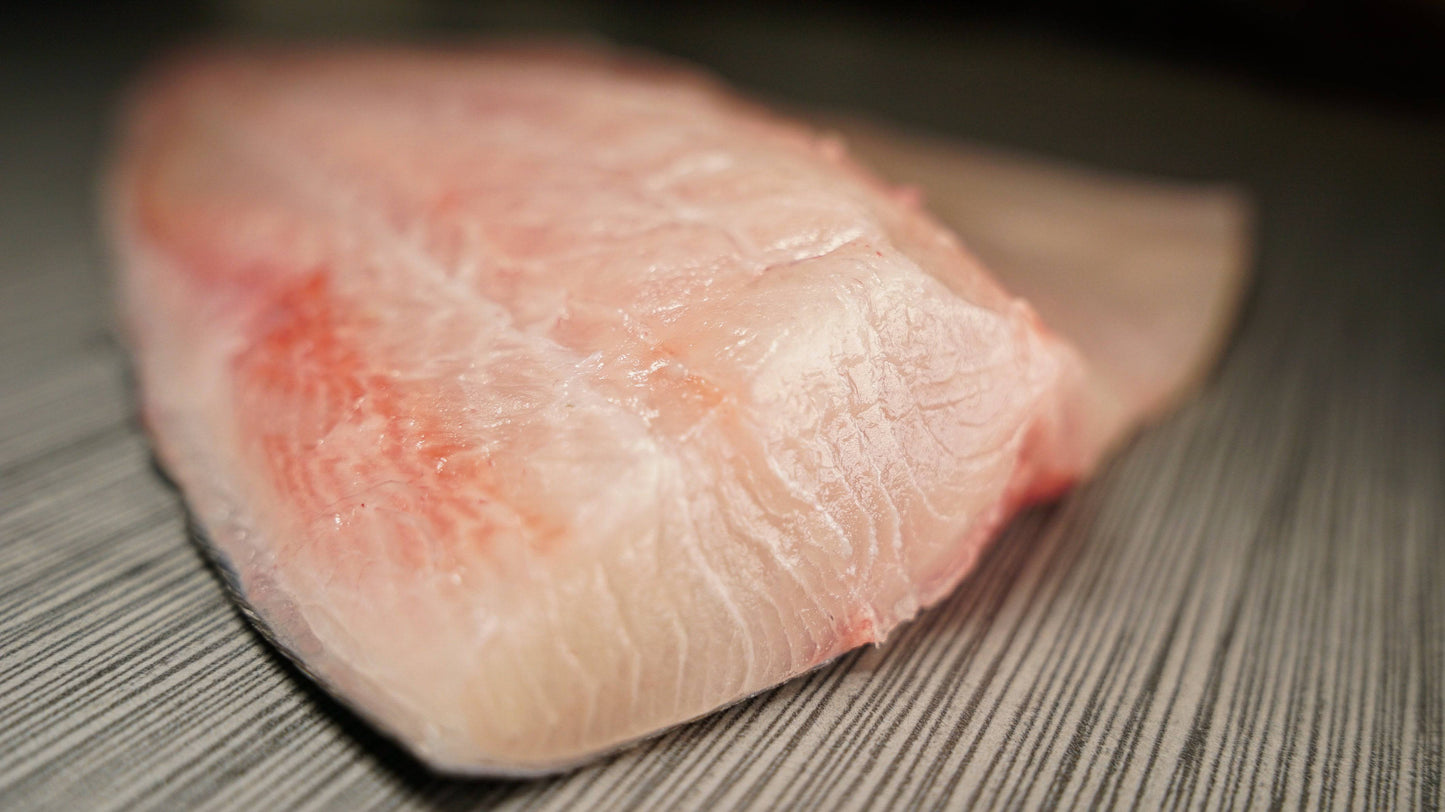 Hawaiian Kanpachi Fillet 3 lbs - Honolulu Fish
