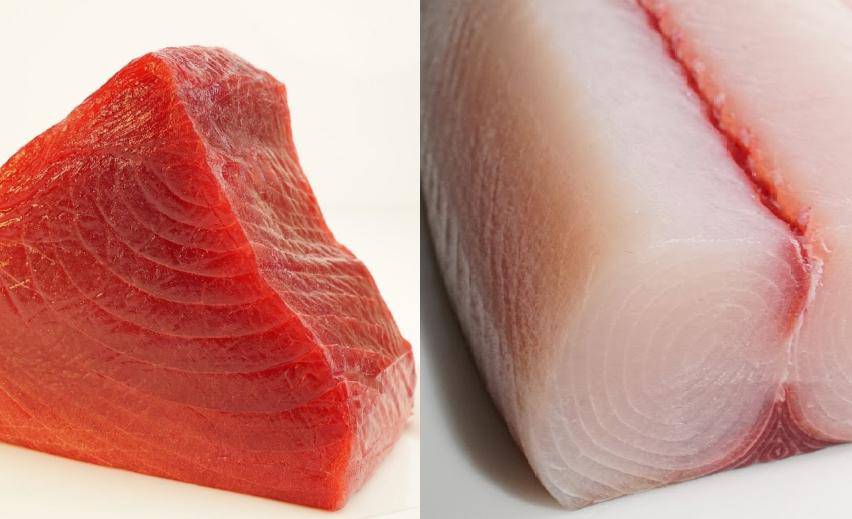 Hawaii Island Surf Pak 4 lbs - Honolulu Fish
