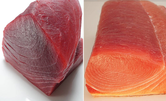 Open Ocean Surf Pak 5 lbs - Honolulu Fish