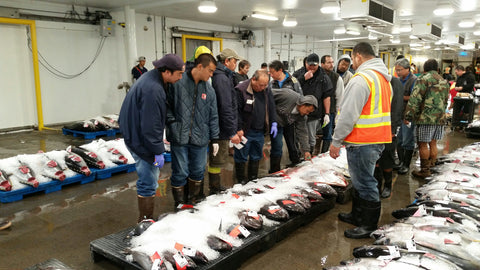 Video: Honolulu Fish Co. Overnight Fresh Fish Delivery