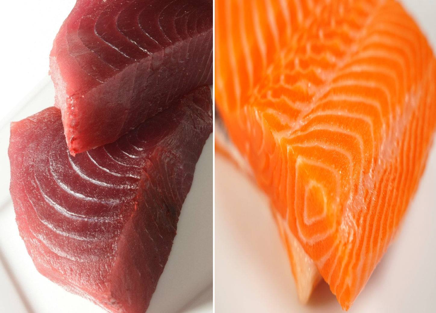 Hawaiian Ahi (Bigeye Tuna) Cuts And Scottish Steelhead 2 lbs - Honolulu Fish