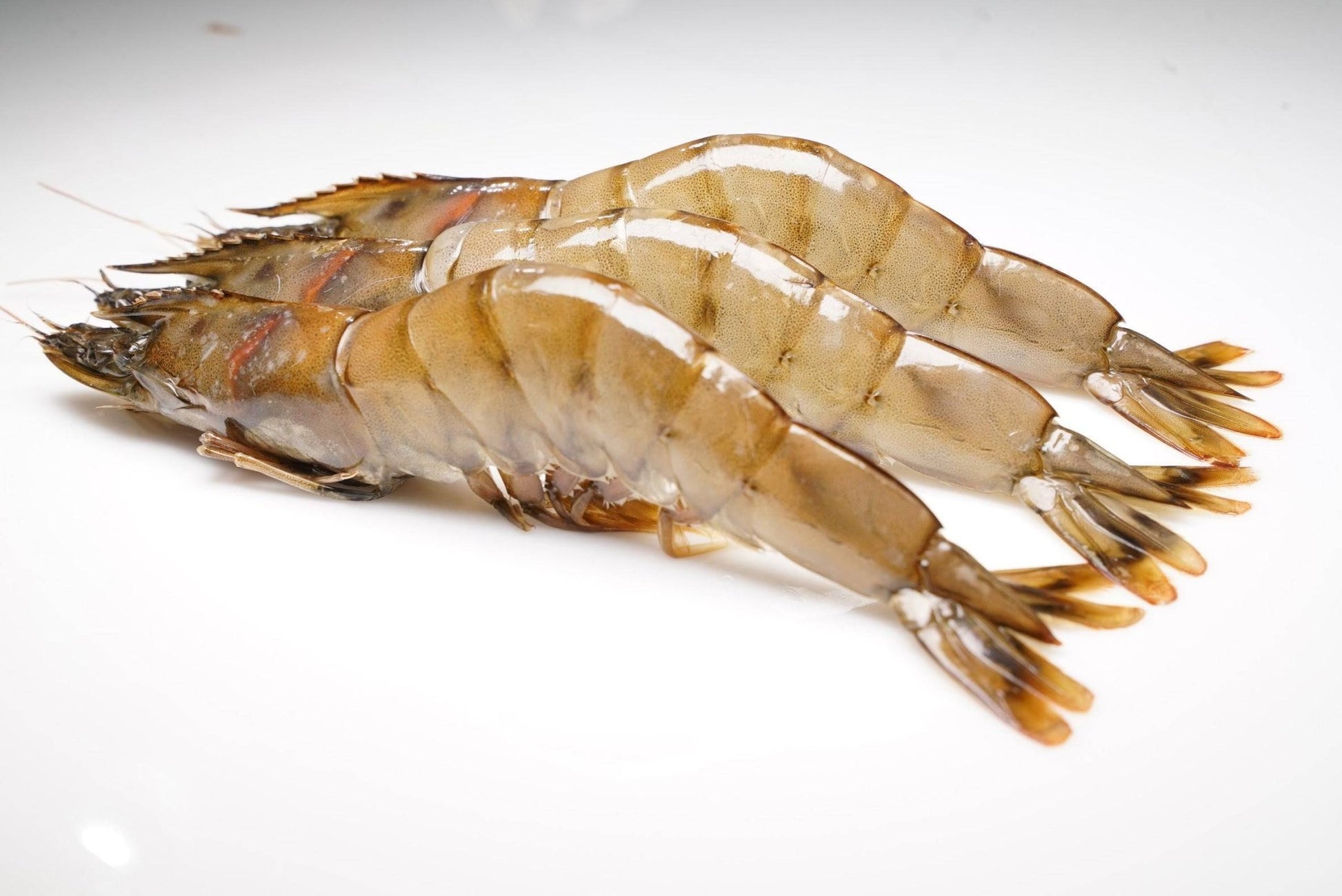 Kauai Sweet Prawns U8/U12 - 1 lb - Honolulu Fish