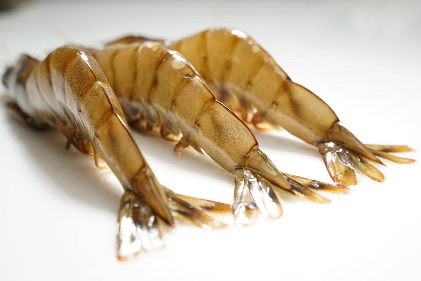 Kauai Sweet Prawns U8/U12 - 1 lb - Honolulu Fish