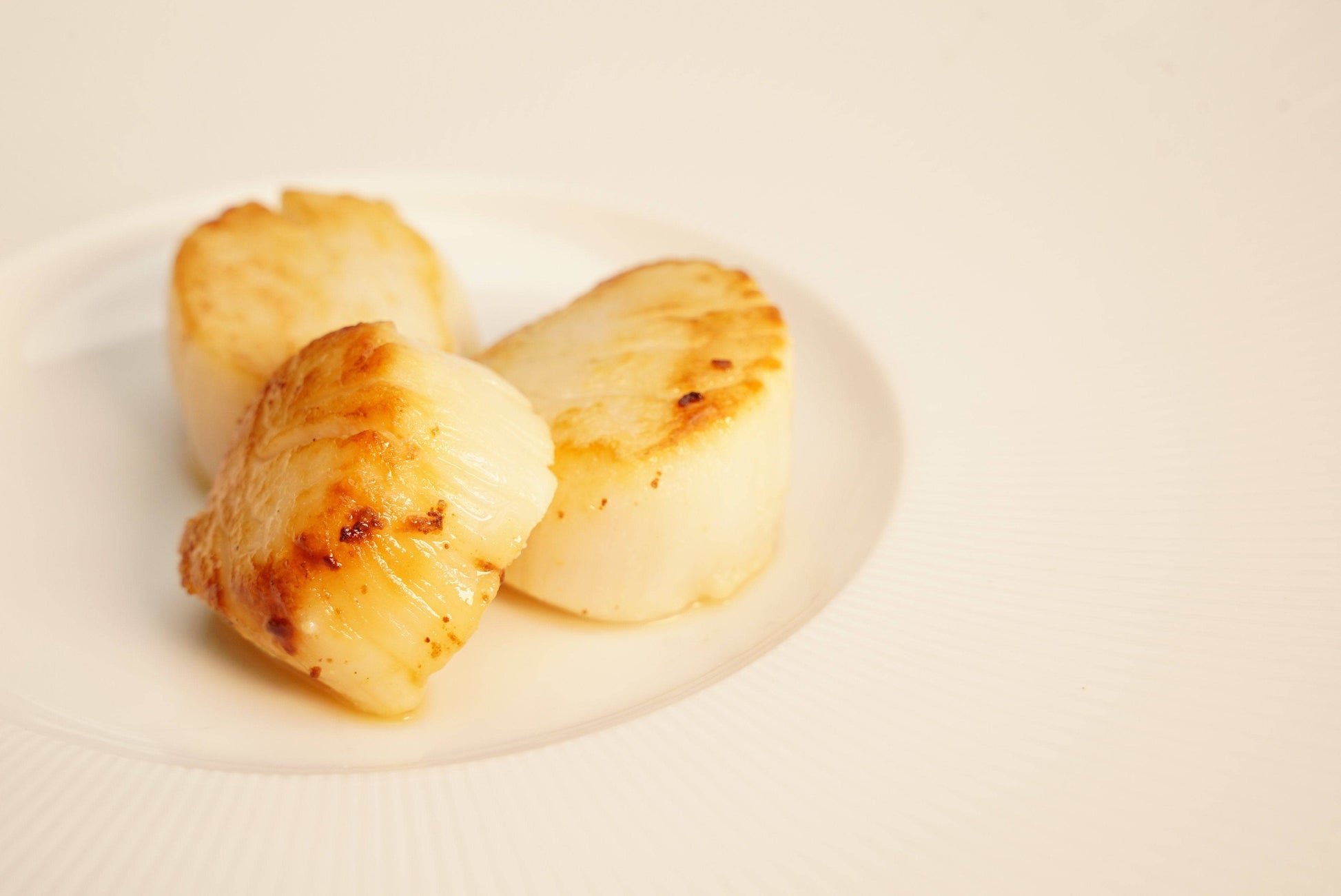 Premium U-10 Scallops (USA Pack) 5 lbs - Honolulu Fish