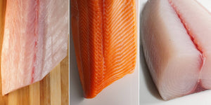 Kanpachi Salmon Ono 6 lbs - Honolulu Fish