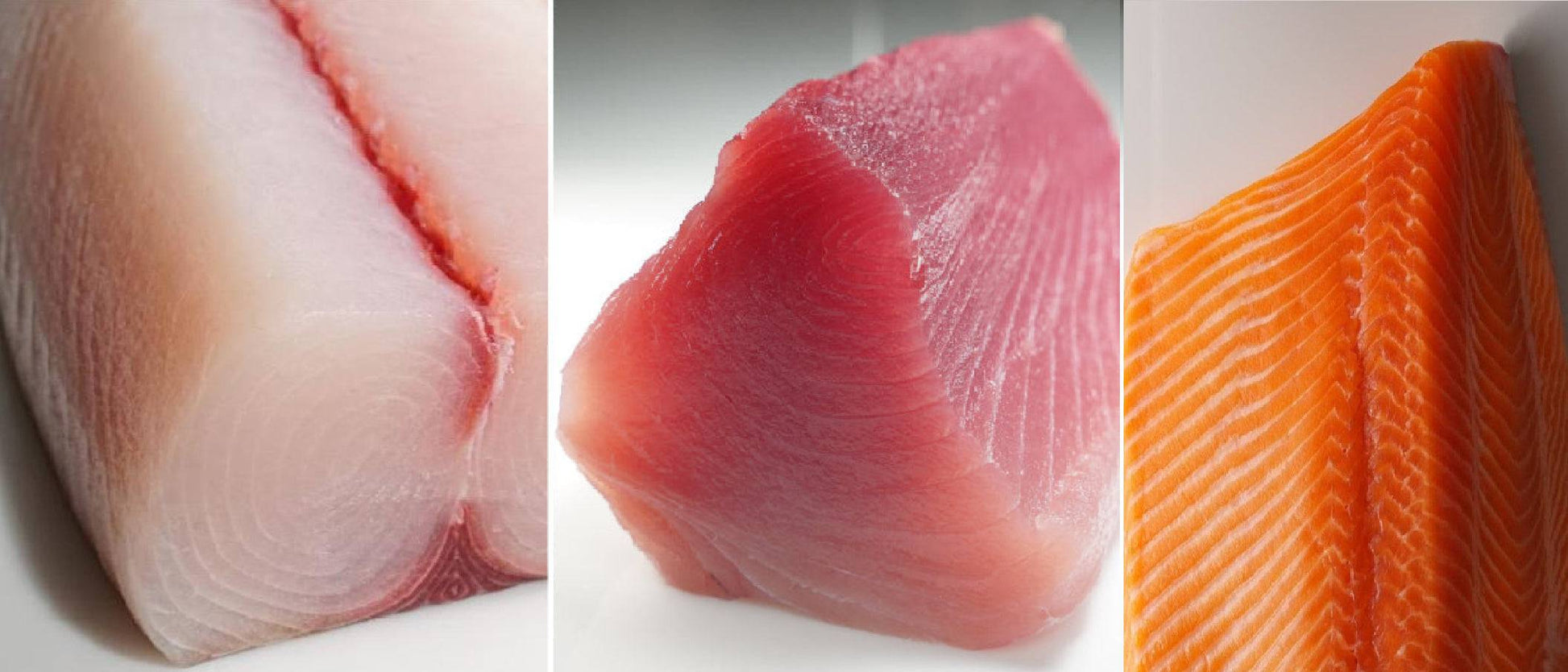 Hawaiian Ono, Sashimi Tombo, King Salmon Pak 3 lbs - Honolulu Fish