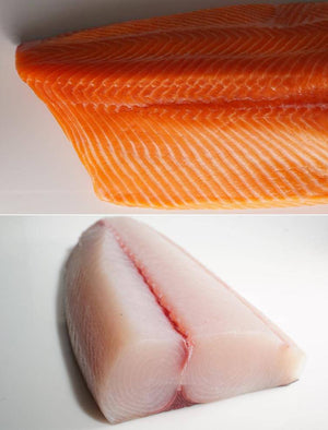 King Salmon And Ono 5 lbs - Honolulu Fish