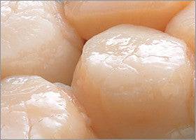 Premium U-10 Scallops (USA Pack)